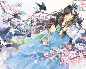 巜特殊精油按摩